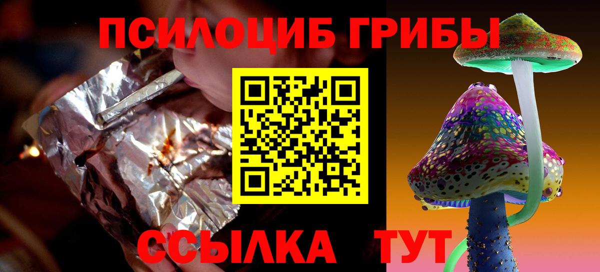 купить закладку  Псилоцибиновые грибы Magic Shrooms  Вход с VPN  Озёры 